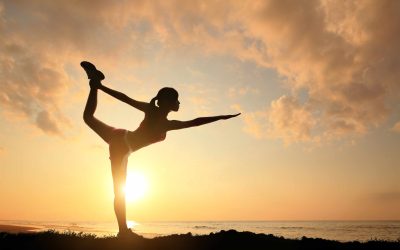 Flexibility and Fluidity