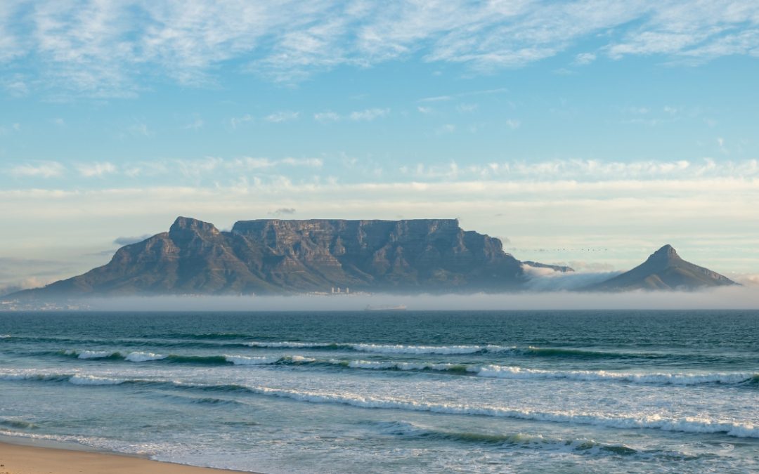 The Healing Power of Gratitude for the Weary South African