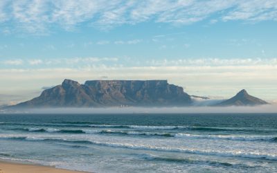 The Healing Power of Gratitude for the Weary South African