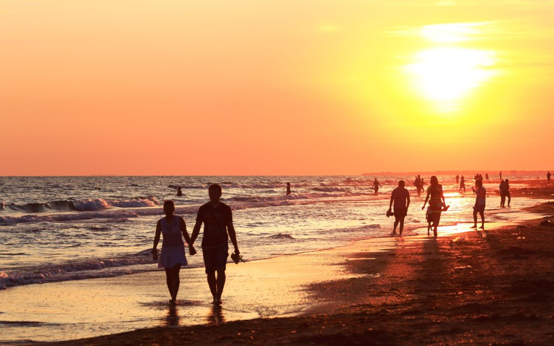 What a Year 2024. Blog By Vanessa Astrop Life Coaching